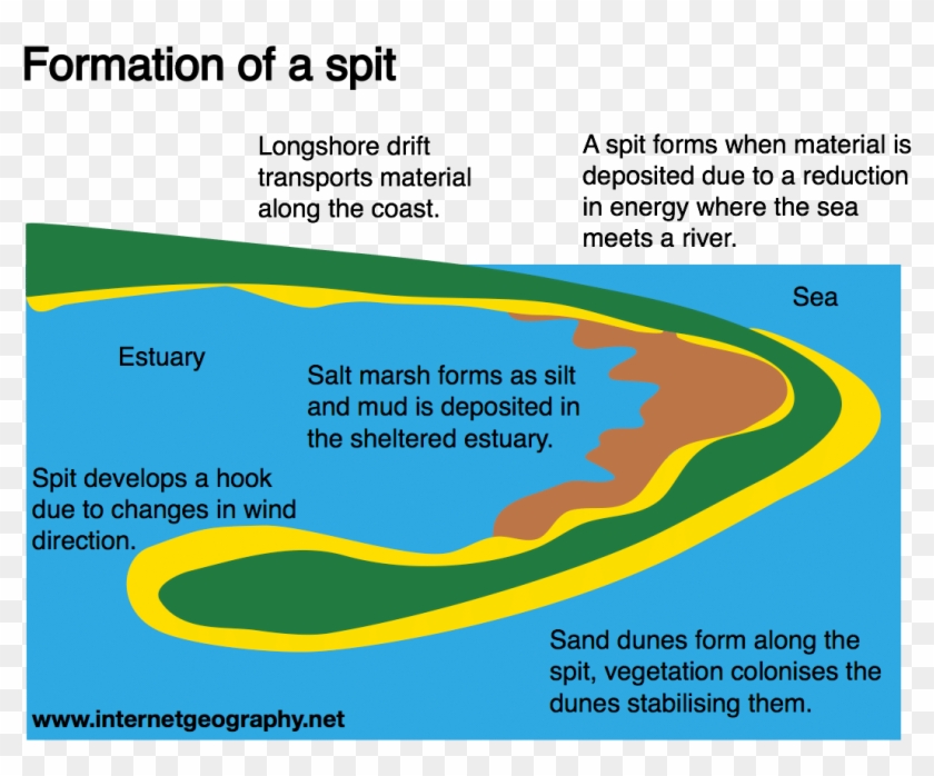 Landforms Of Coastal Deposition Internet Geographythe - Graphic Design Clipart