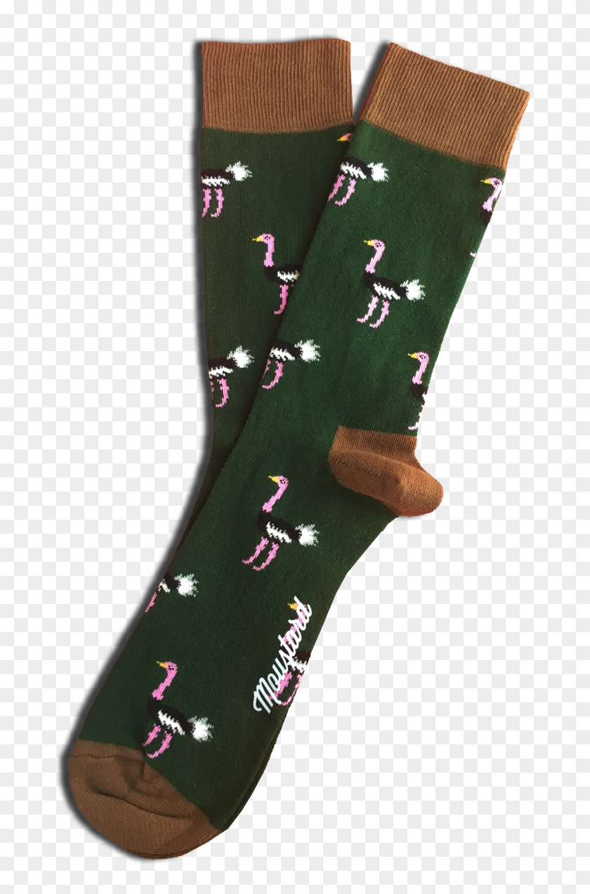 Ostrich Green Cotton Socks - Sock Clipart