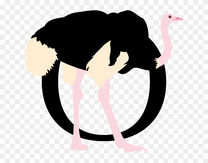 Ostrich Clipart Г±andu - Illustration - Png Download #2434289