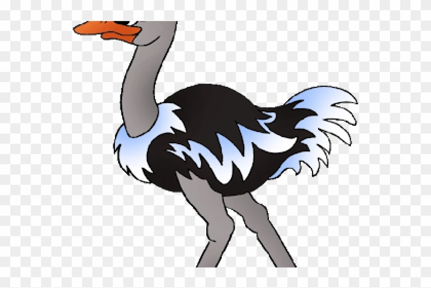 Ostrich Clip Art - Png Download #2434330