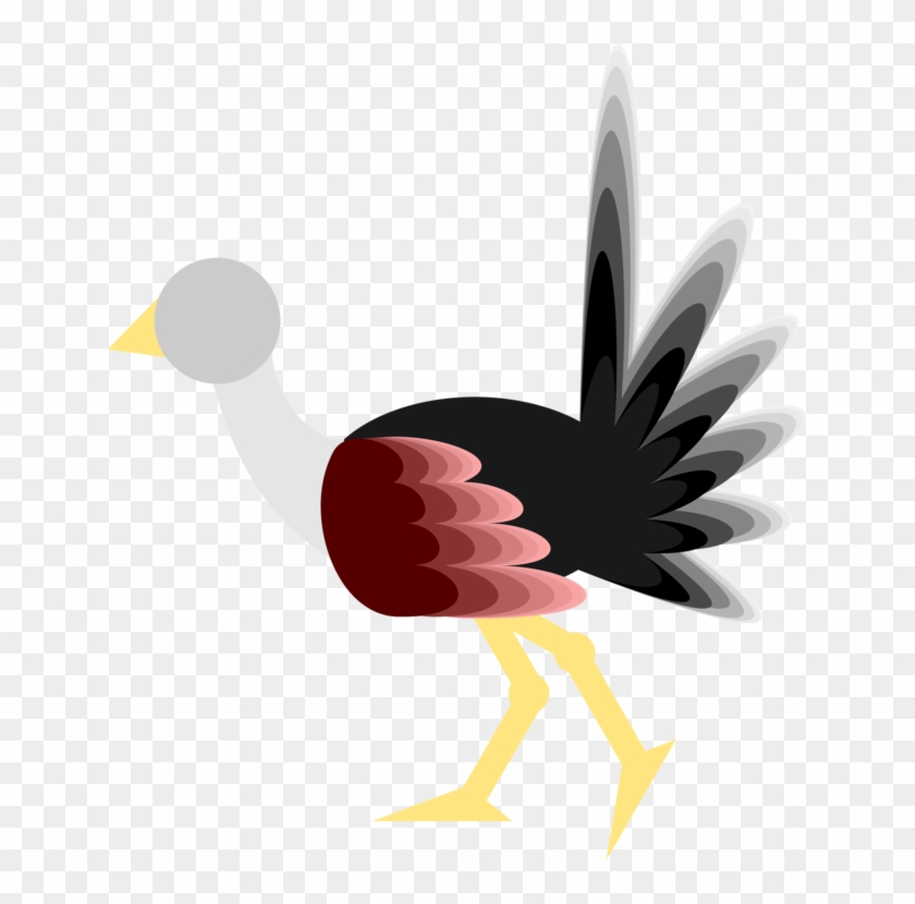 Common Ostrich Bird Rooster Wing Feather - Flightless Bird Clipart #2434375