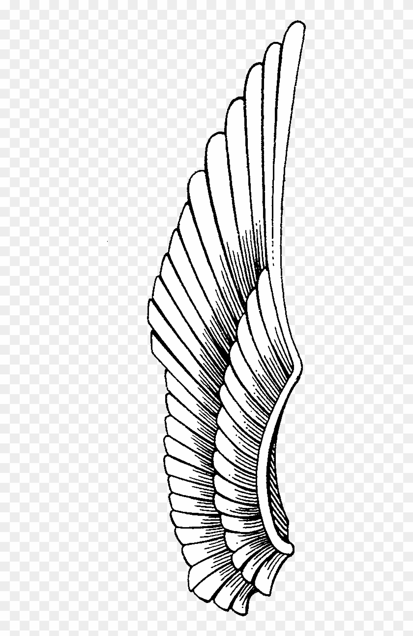 516 X 1396 7 0 - Wings Drawing Clipart