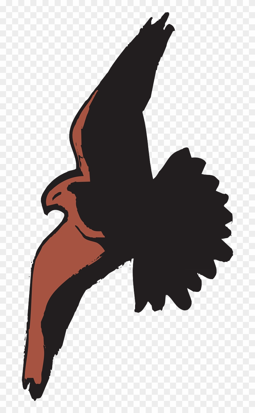 Spread Shadow Bird Flying Wings Png Image - Cartoon Hawk Clipart #2434875