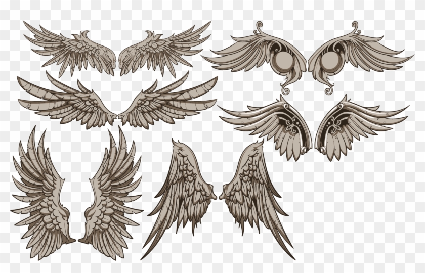 Vintage Wings Design Vector Set - Wing Vector Clipart