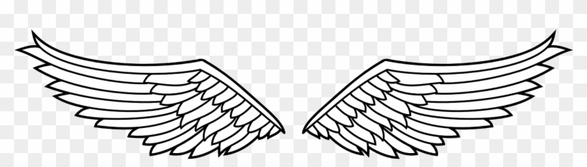 Insignia Wings Eagle - Angel Wings Transparent Clipart - Png Download