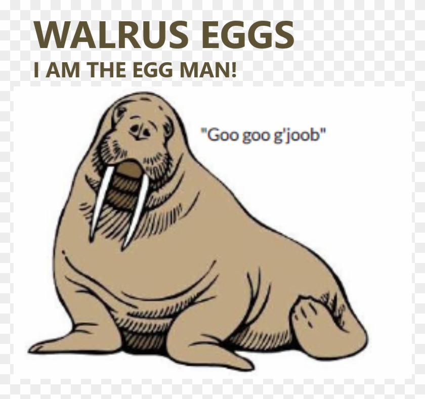 Artist , Png Download - Walrus Egg Clipart #2435051