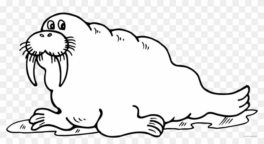 Walrus Clipart Outline - Black And White Walrus - Png Download #2435117