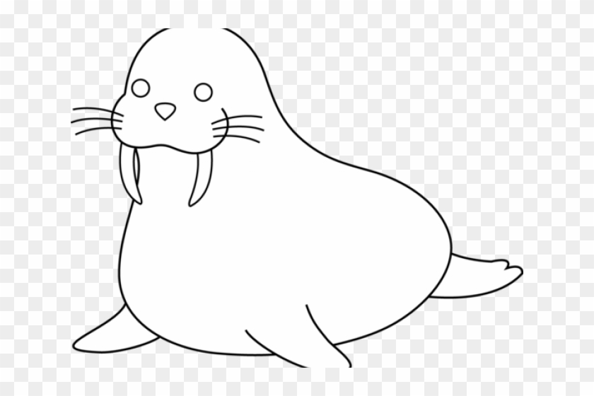 Antarctica Drawing Walrus - California Sea Lion Clipart
