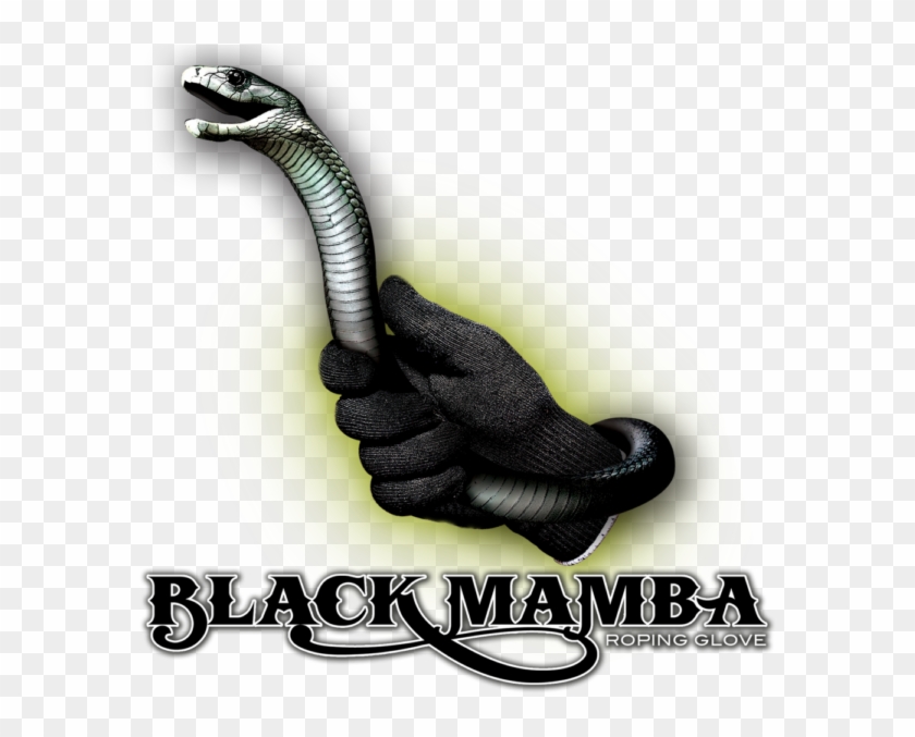 Black Mamba Png Image - Snake Clipart
