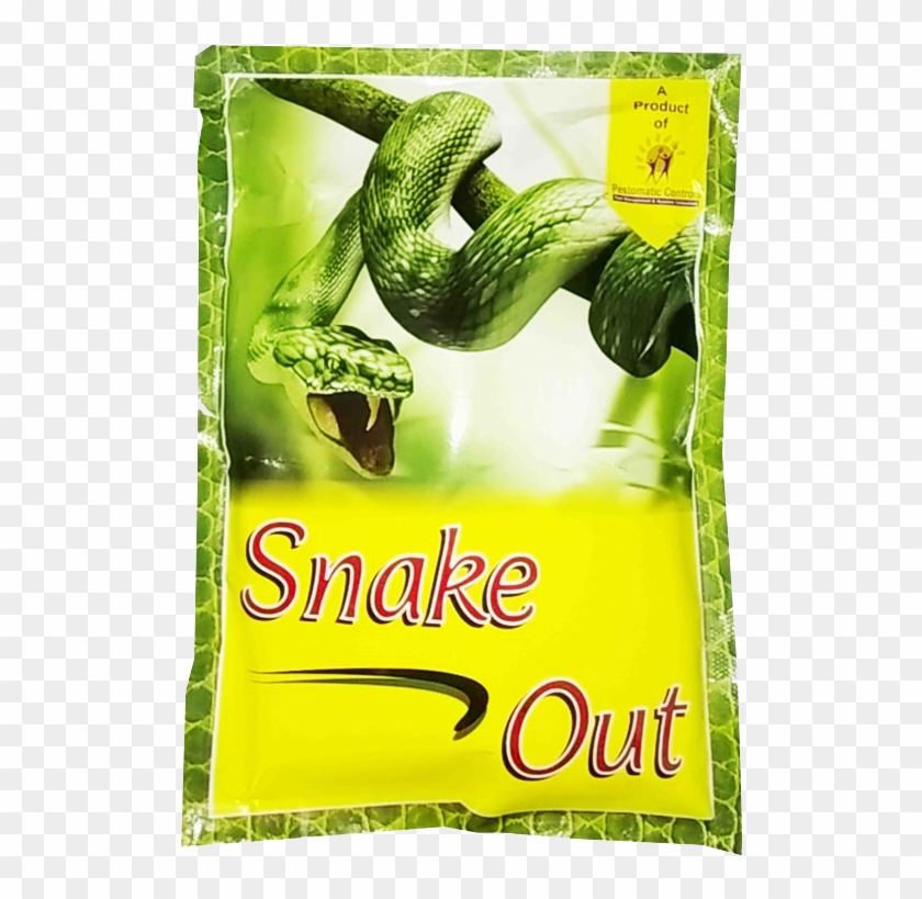 Troubled By Snakes - 3d Animals Clipart