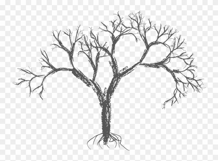 Picture Library Diy Drawing Wall Art - Tree Brush Vector Free Clipart #2436329
