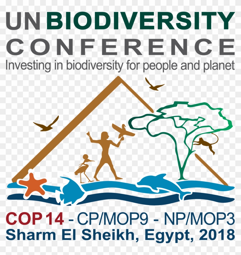Cop14 Statement On Freshwater Biodiversity Alliance - Un Biodiversity Conference Egypt Clipart #2436367