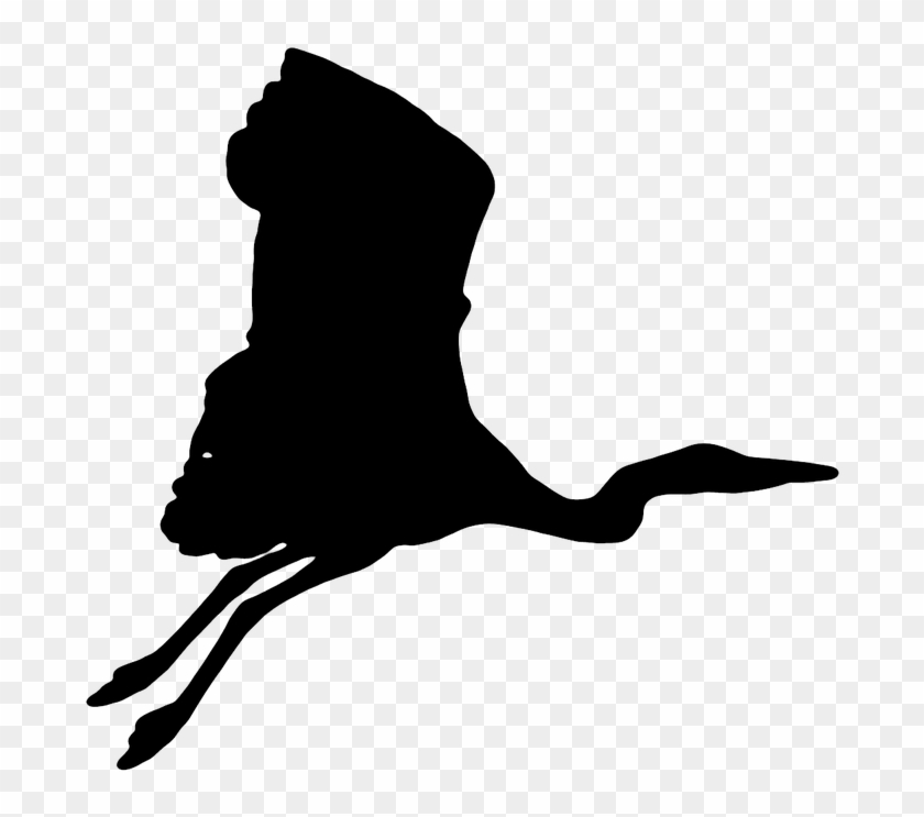crane bird the silhouette flight png image crane bird silhouette png clipart 2436401 pikpng crane bird silhouette png clipart