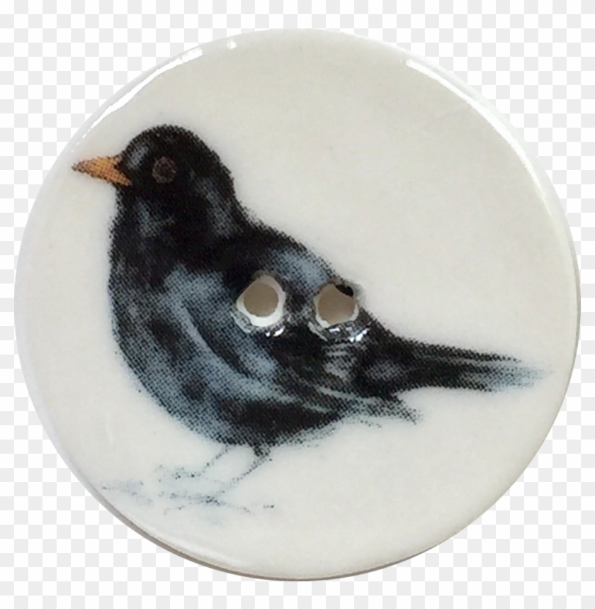 Ceramic Bird Button 2 Holes The Button Bird - Blackbird Clipart