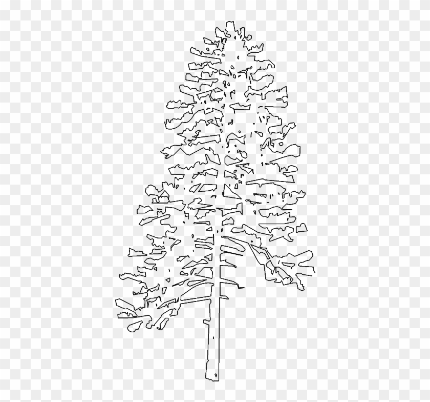 Pine Tree Elevation Clipart