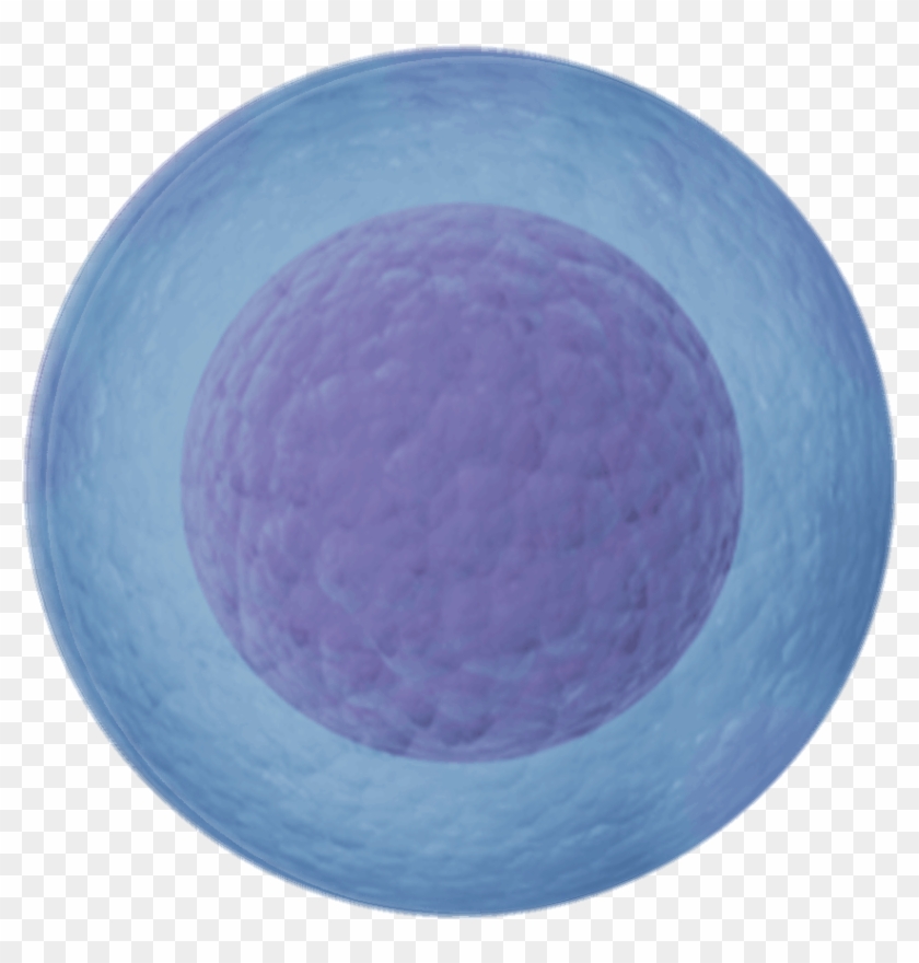 Connecting People To Improve Lives - Circle Clipart