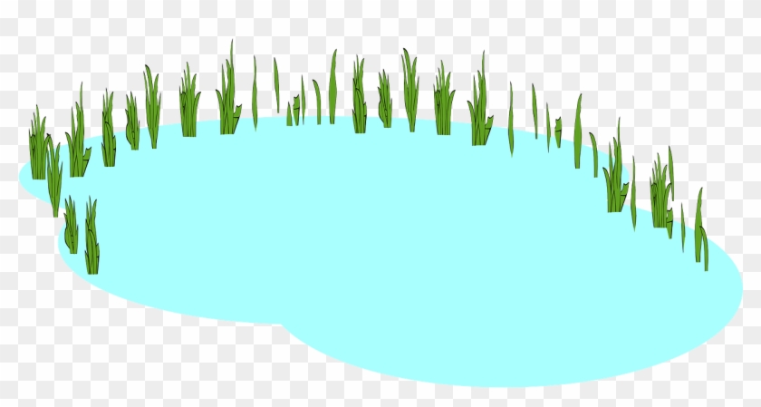 Pond Marsh Lake Water Swamp Png Image - Freshwater Clip Art Transparent Png #2437737