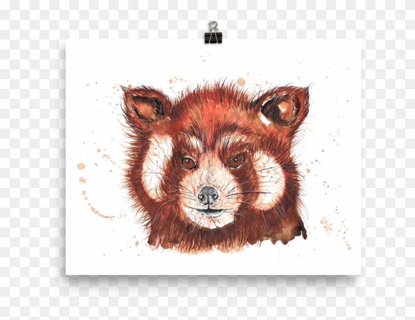 Image Of 'red Panda' - Red Fox Clipart #2437890