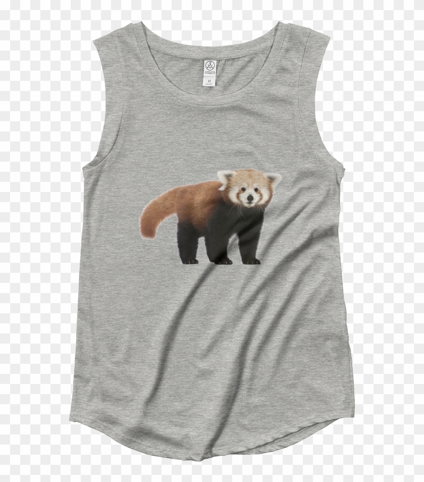 Red Panda Ladies‰۪ Cap Sleeve T Shirt - Womens Muscle Tank Mockup Clipart #2438011