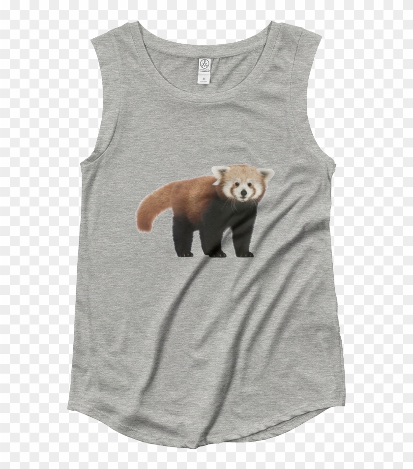 Red Panda Ladies‰۪ Cap Sleeve T Shirt - Womens Muscle Tank Mockup Clipart