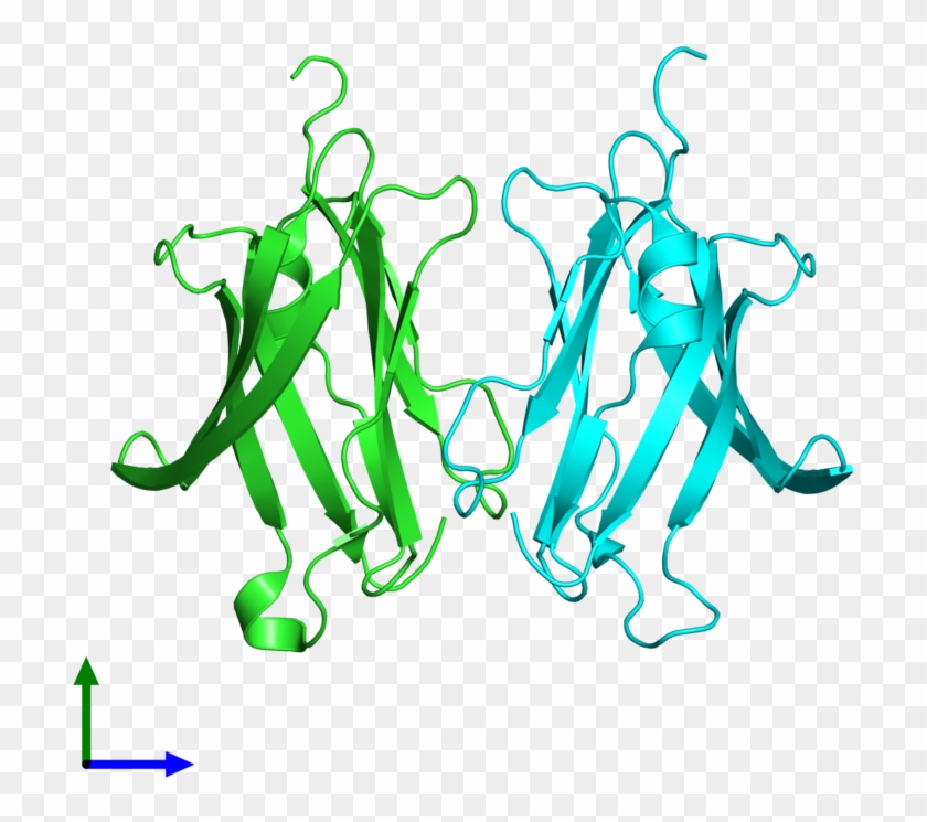 Pdb 2jhz Coloured By Chain And Viewed From The Front - Illustration Clipart
