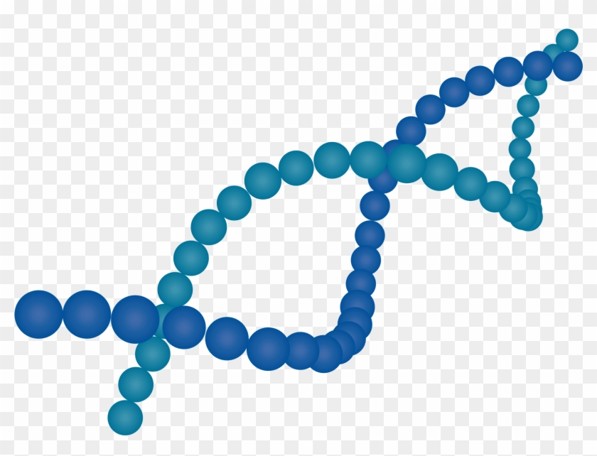 Much Of The Complexity Of The Cell And Gene Supply - Bracelet Clipart #2438948