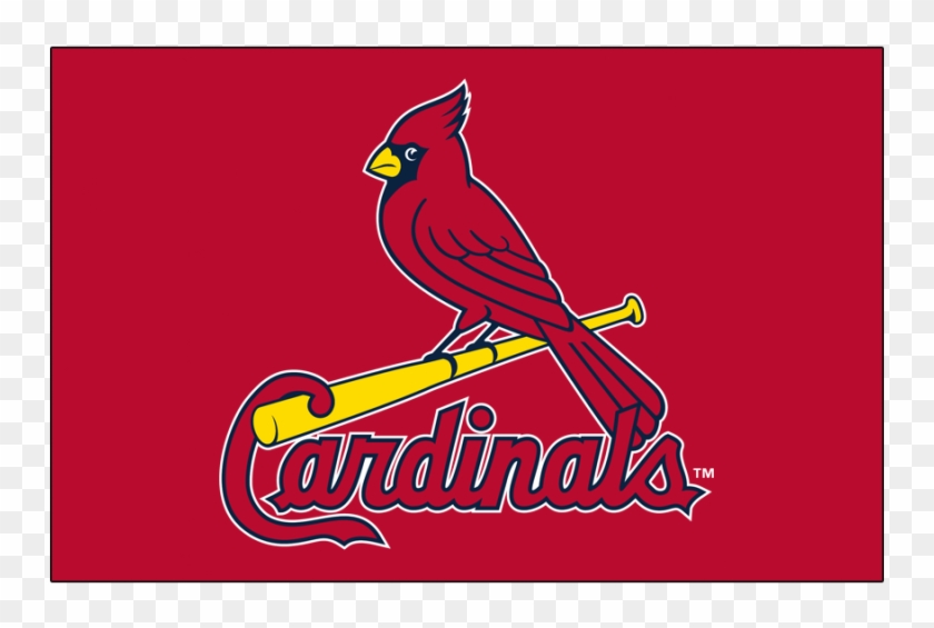 Louis Cardinals Iron On Stickers And Peel-off Decals - St Louis Cardinals Clipart