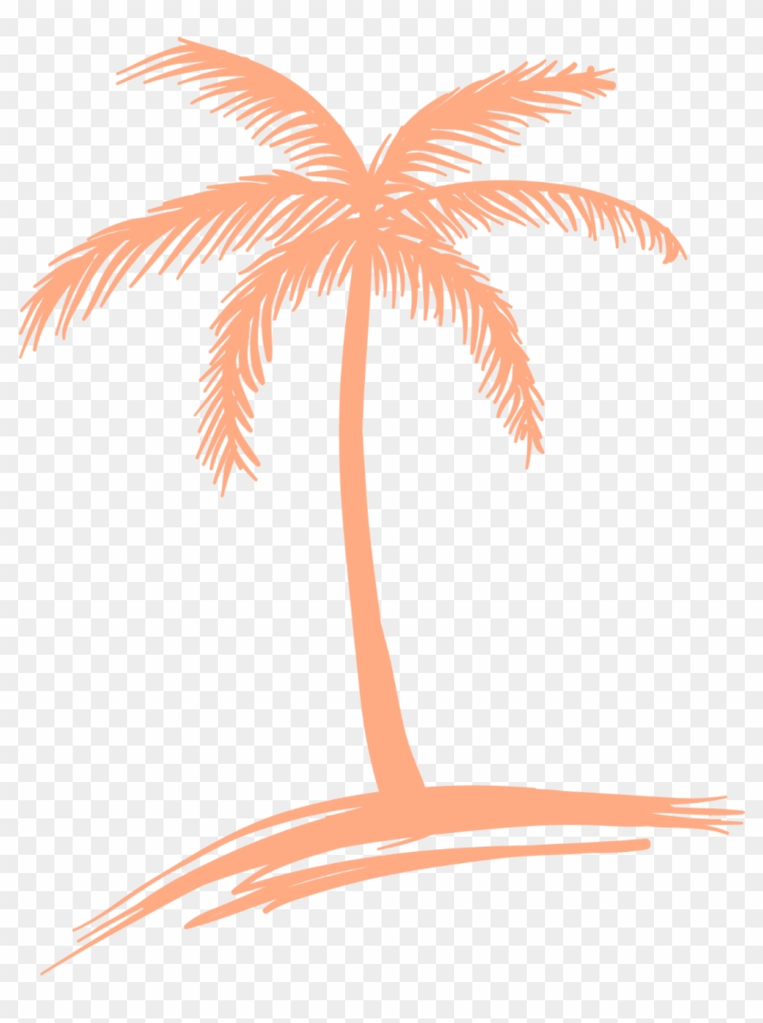 Peach Palm Tree Logo - Coconut Tree Line Drawing Clipart