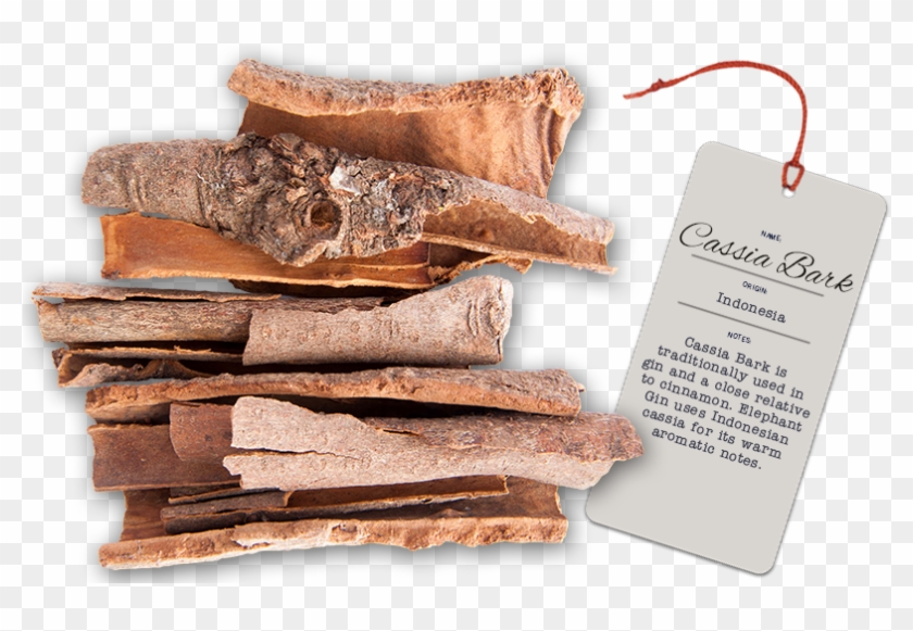 Buchu - Chocolate Clipart #2443304