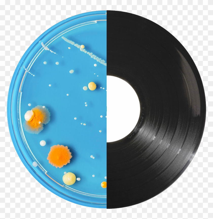 Dish And Record - Circle Clipart #2443351