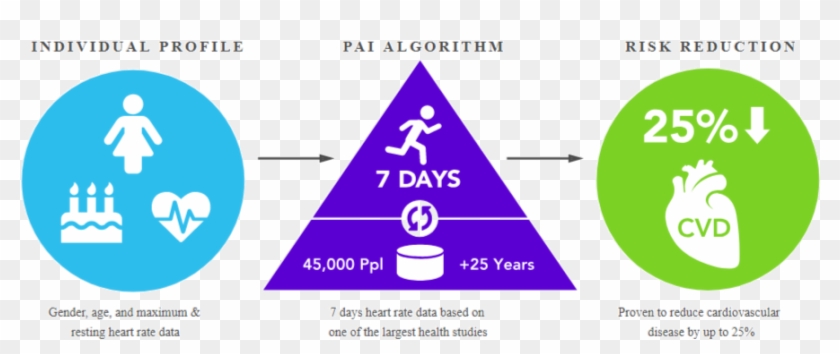 How Pai Works - Personal Activity Intelligence Clipart