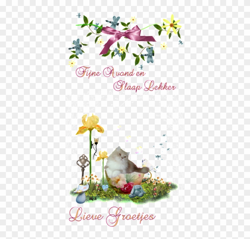 Photo Falco - Greeting Card Clipart