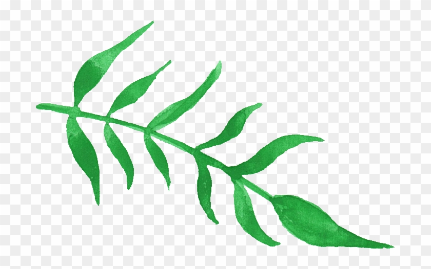 Free Download - Watercolor Plant Png Transparent Clipart #2447118