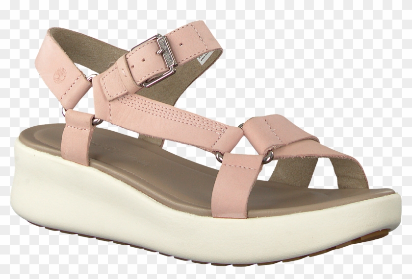 Pink Timberland Sandals Los Angeles Wind Spo Womens - Sandal Clipart #2448440