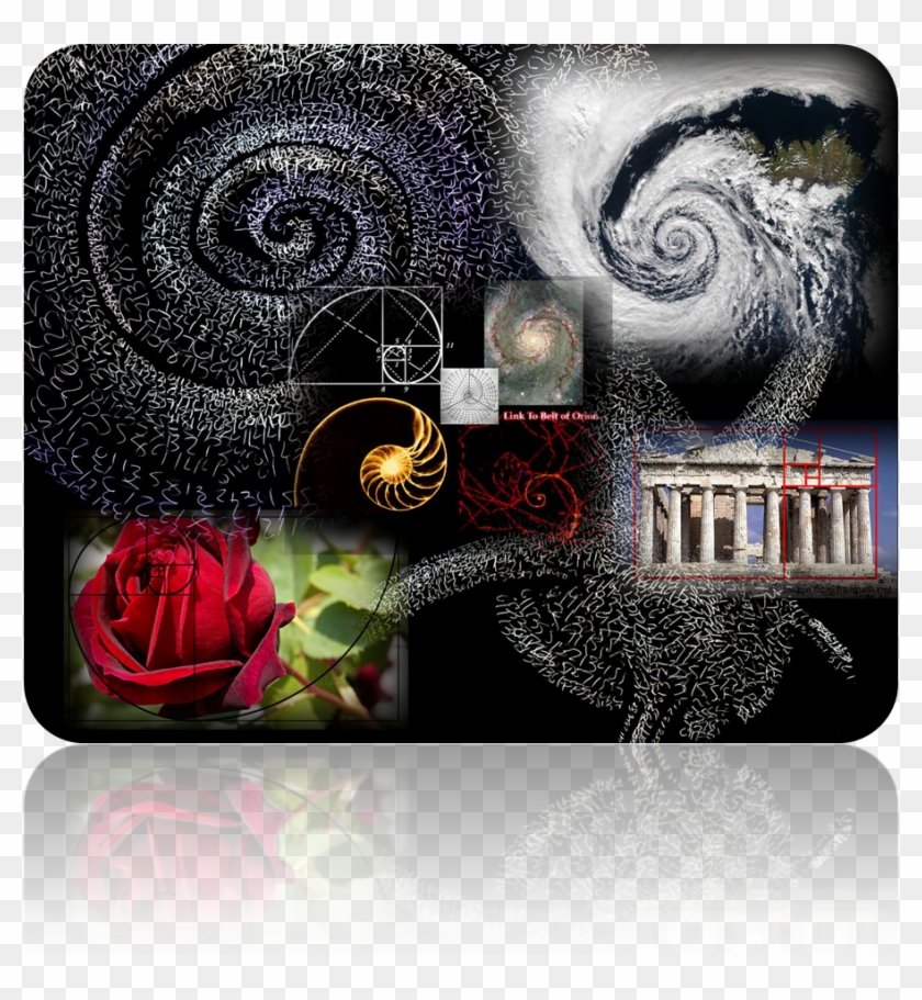 Fibonacci Series - Illustration Clipart