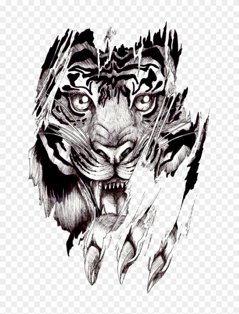 Roaring tiger tattoo design, vintage engraved illustration Stock Vector  Image & Art - Alamy
