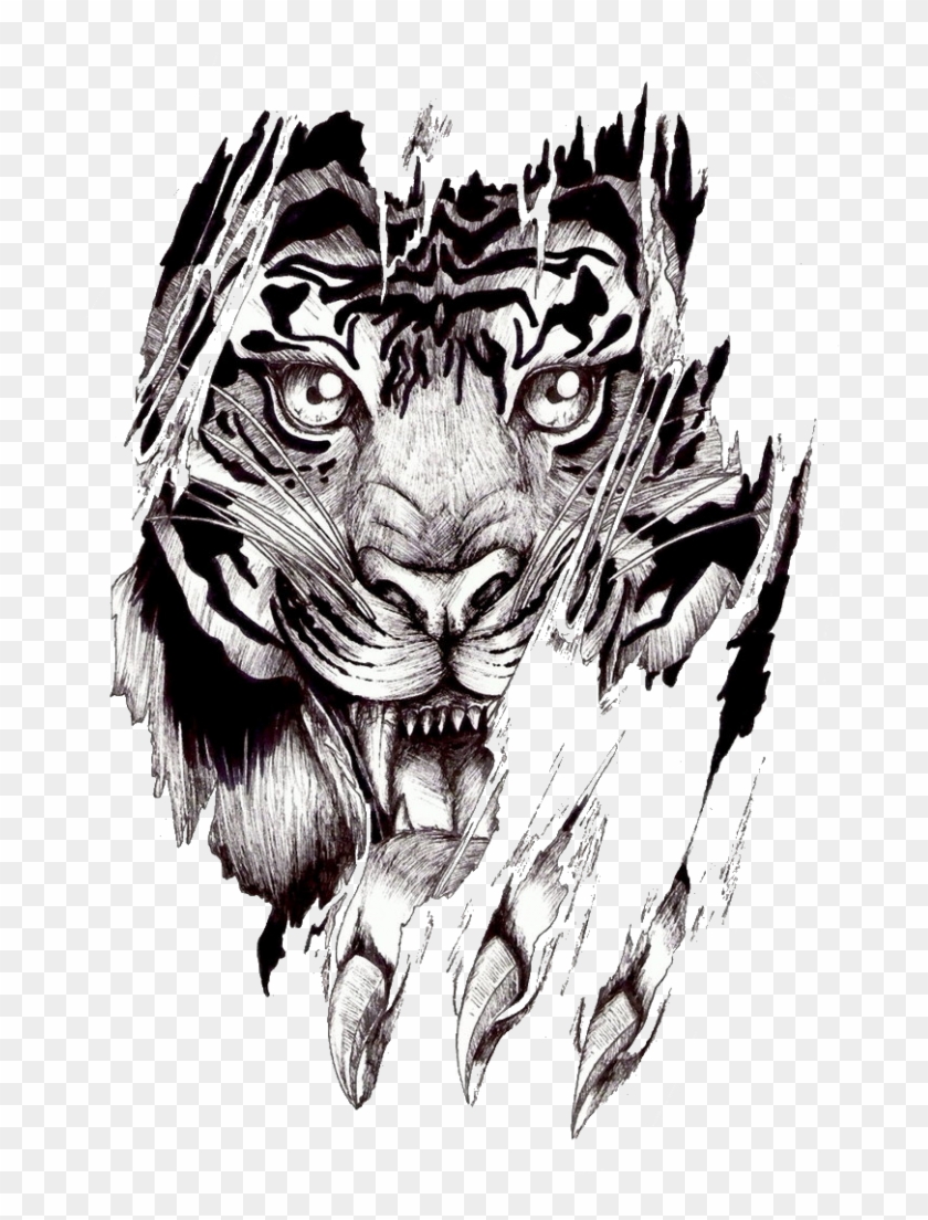 Photo Whitetigertear - Polynesian Tiger Tattoo Designs Clipart #2450587