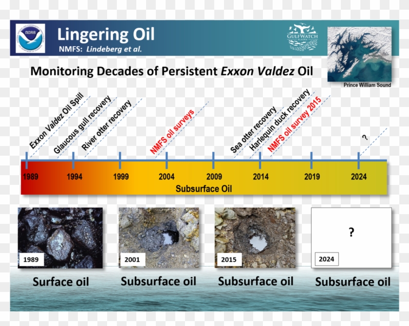 Lindgering Oil In Prince Williams Sound Graphic - Gulf Of Alaska Clipart #2451322