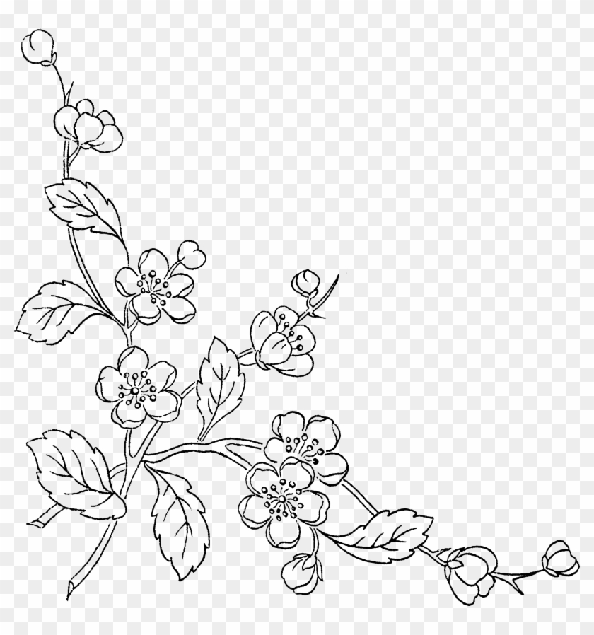 Flower Sketch Png - Sketch Flower Transparent Background Clipart