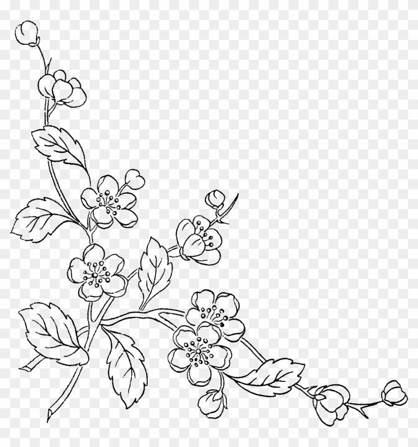 Flower Sketch Png - Sketch Flower Transparent Background Clipart #2451980