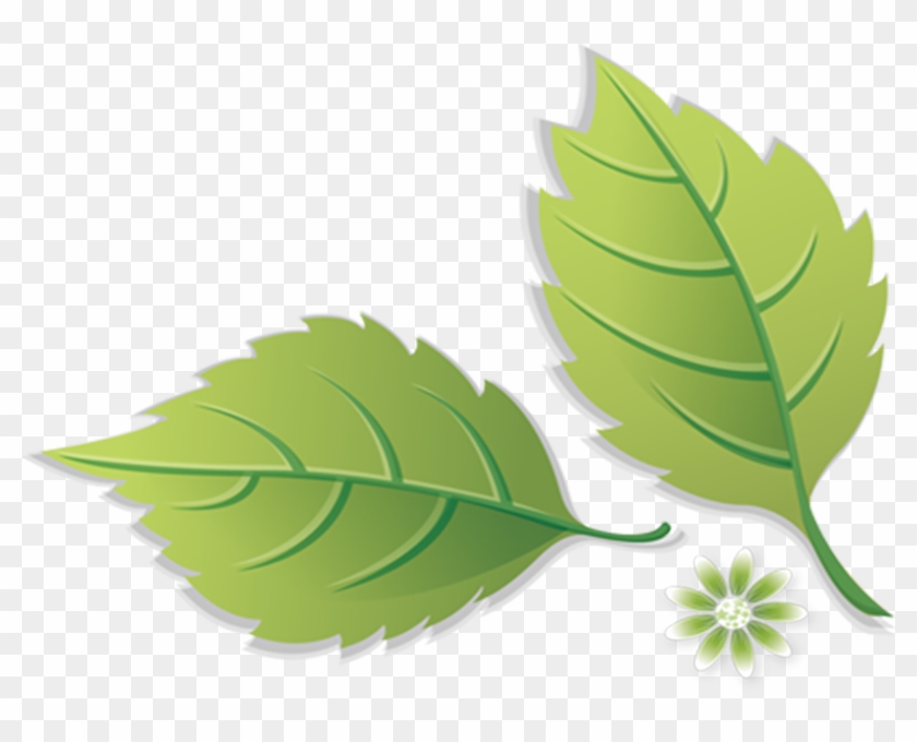 Call Jeff Ride Today About Your Lawn Care Services - Illustration Clipart