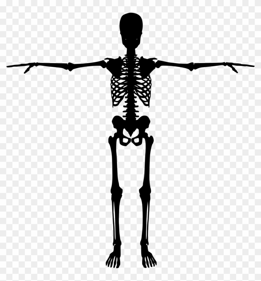 Download Png - Human Skeleton Silhouette Clipart #2453506