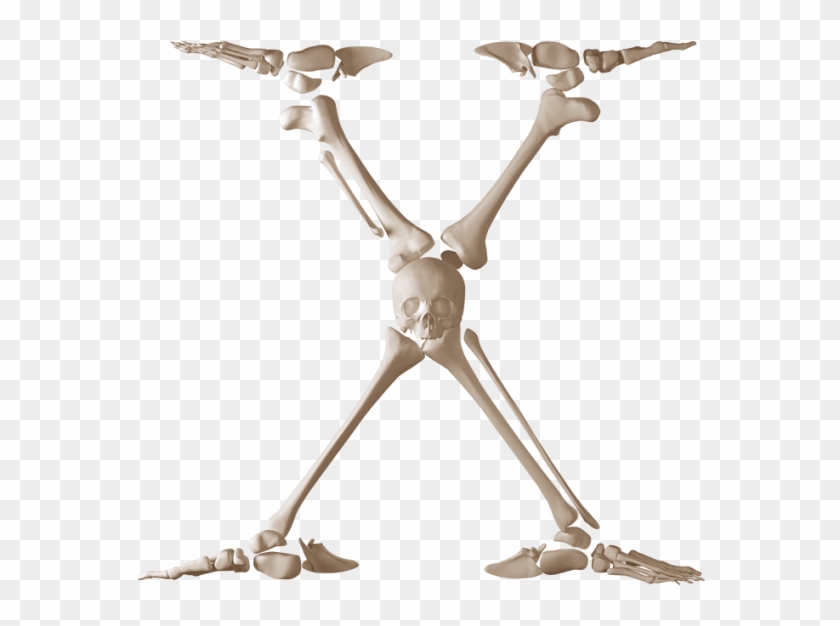 Skeleton Font - Bone Clipart #2453666