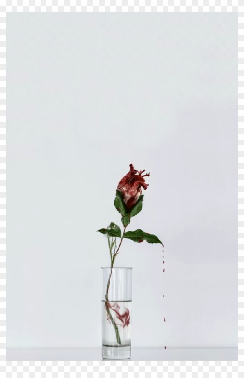 Broken Can't Fix Broken - Garden Roses Clipart #2454609