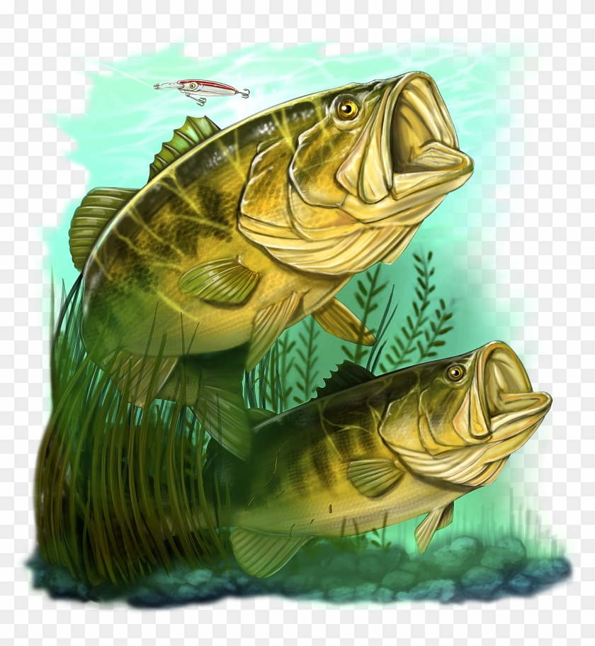 Large Mouth Bass Png Clipart #2454819
