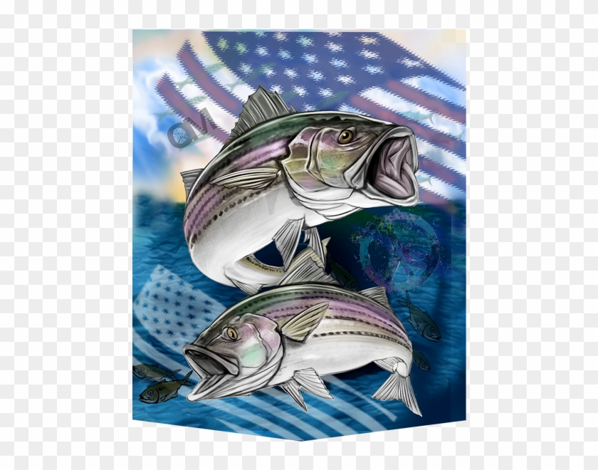Om019- Striped Bass - Bass Clipart