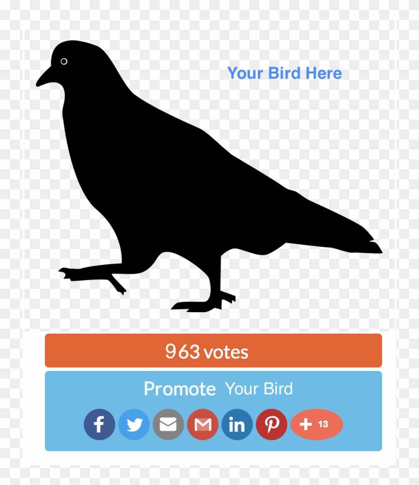 Vector Pigeon Silhouette Clipart #2456724