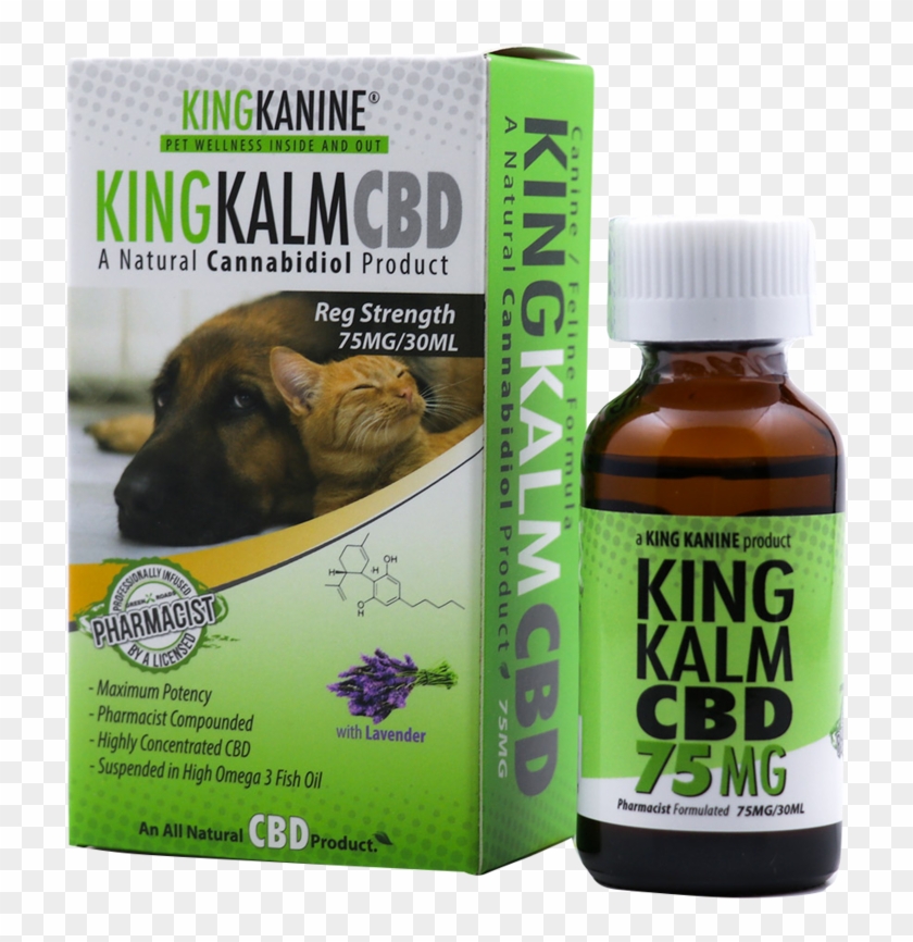 How Cbd Oil Will Change The Life Of Your Kitty Cat - Companion Dog Clipart #2458658
