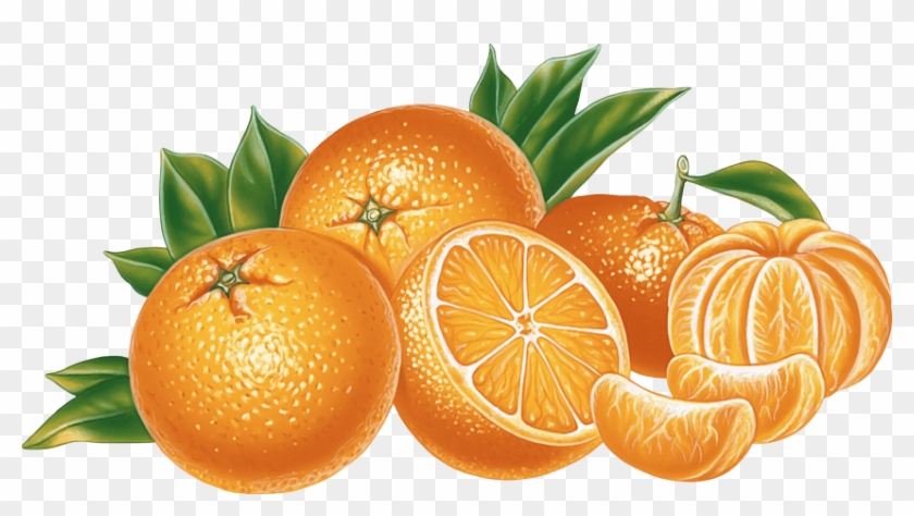 Vector Black And White Orange Vector Png Free Images - Oranges Clipart Png Transparent Png #2459582