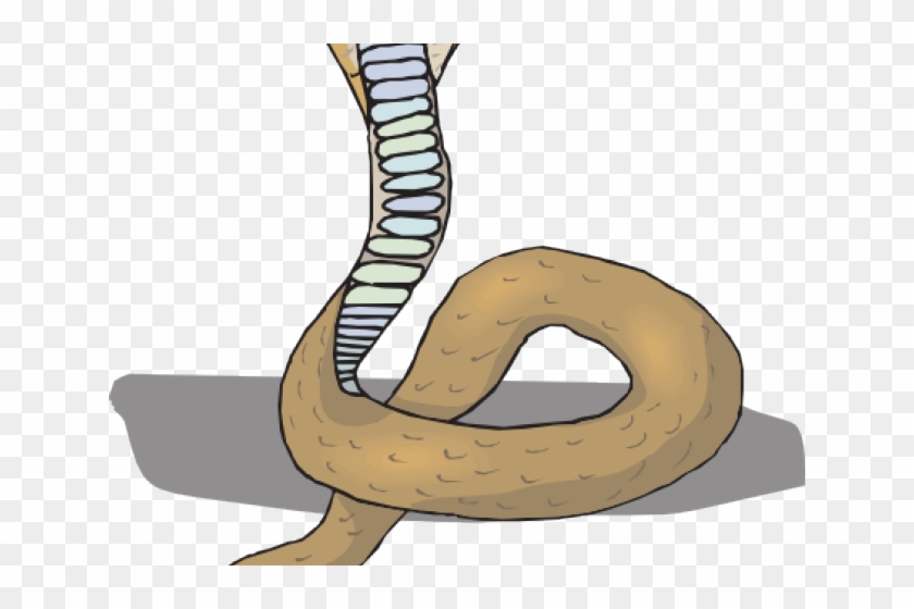Gambar Kepala Ular Cobra Clipart
